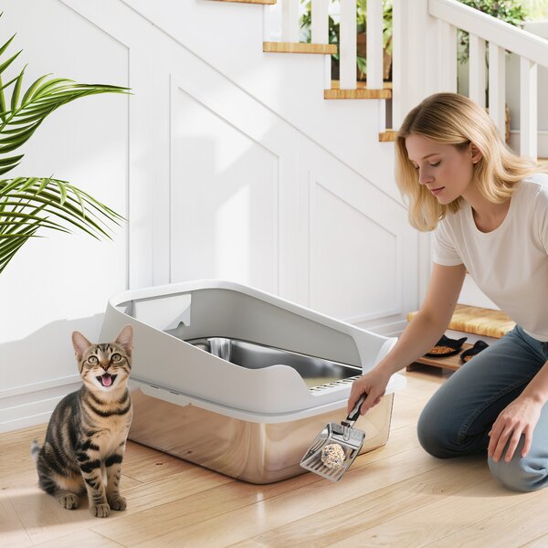 PawHut Lettiera in acciaio inox WC aperto con paletta bordo alto per gatti grandi fino a 7 kg, 60,2 x 40,2 x 29,7 cm, Grigio | Aosom Italy