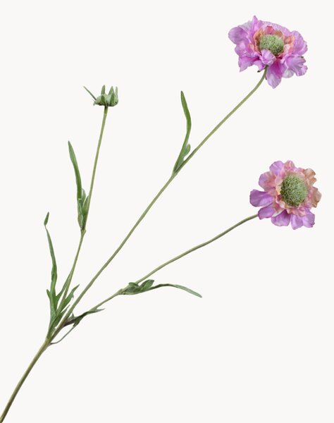 Fiori artificiali Scabiosa, set da 2