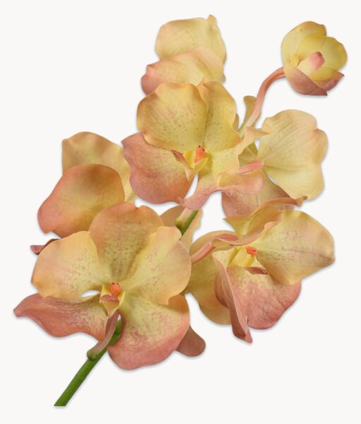 Set di 2 fiori artificiali fatti a mano Vanda