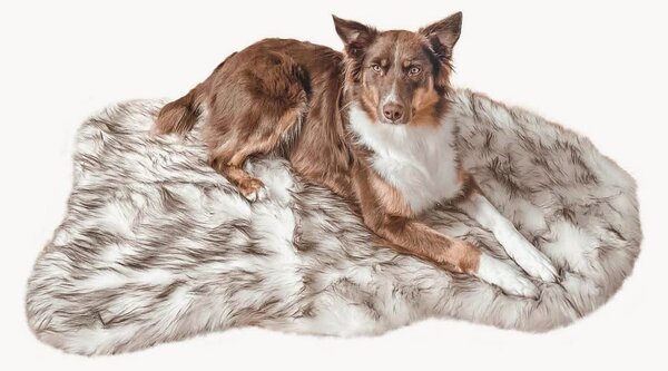 Cuccia ortopedica per cani Relax
