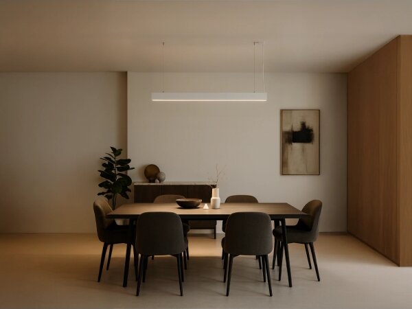 Lampadario LED sospeso a cavo, 55W, 230V, 3000/4000/6500K, 120 cm, bianco