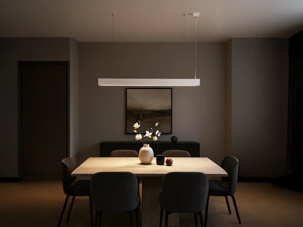 Lampadario LED sospeso su cavo LED/55W/230V 3000/4000/6500K 120 cm bianco