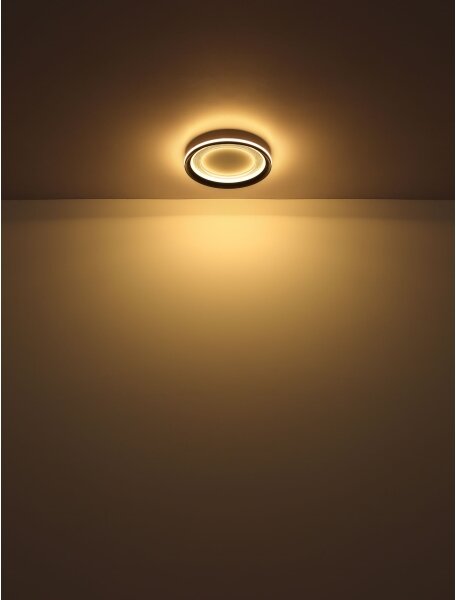 Globo 48918-24 - Plafoniera LED dimmerabile CLARINO LED/24W/230V + +TC
