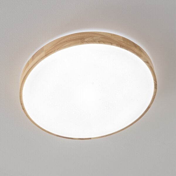 Brilagi - Plafoniera LED dimmerabile PINE LED/60W/230V + telecomando