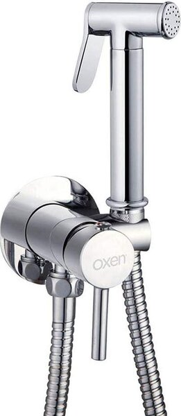 Rubinetto per bidet con doccetta, miscelatore monocomando cromato per acqua fredda e calda
