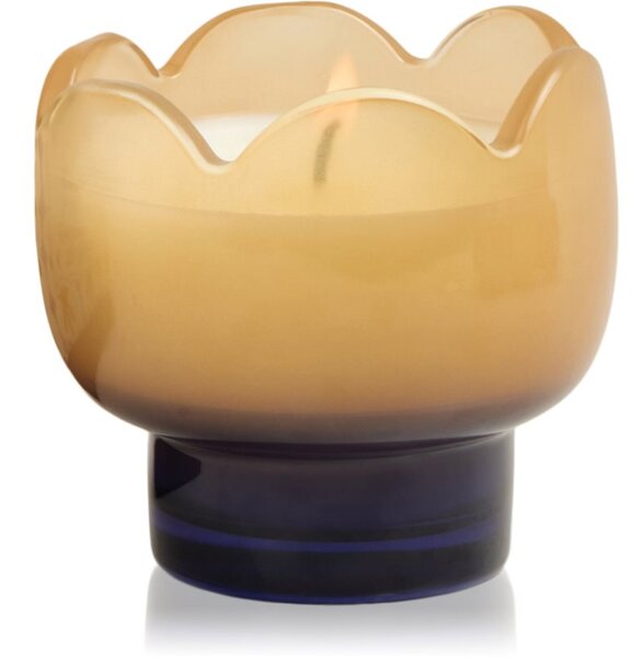 Paddywax Tulip Garden & Grove candela profumata 155 g