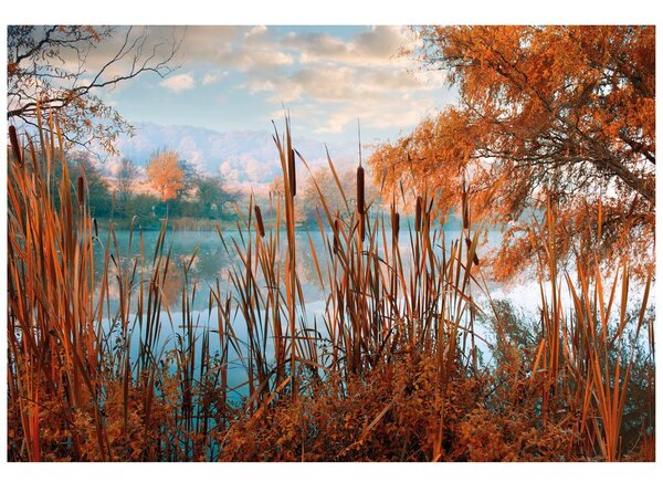 Carta da parati – Lago nel mezzo della natura autunnale