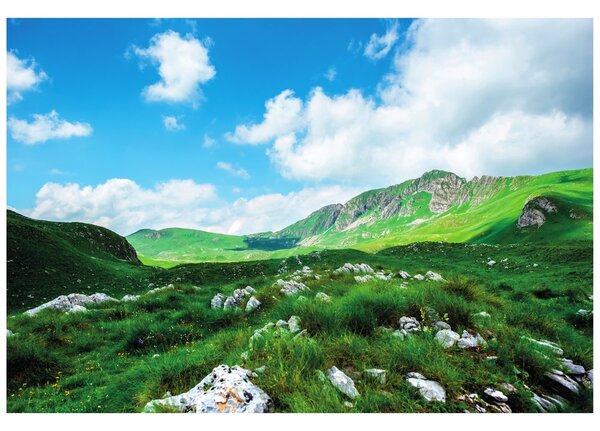 Carta da parati – Valle in Montenegro