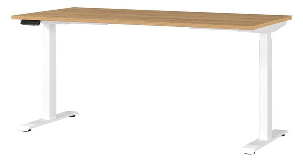 Scrivania con altezza regolabile elettricamente 80x160 cm Jet – Germania
