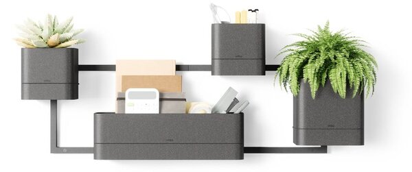 Vasi di plastica sospesi per erbe aromatiche in set di 4 pezzi Cubiko - Umbra