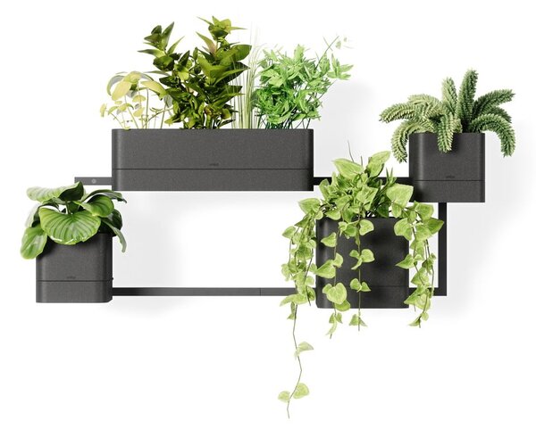 Vasi di plastica sospesi per erbe aromatiche in set di 4 pezzi Cubiko - Umbra