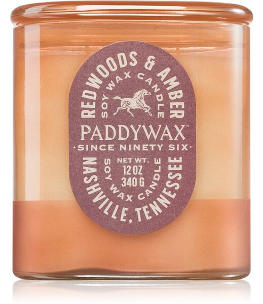 Paddywax Vista Redwoods & Amber candela profumata 340 g