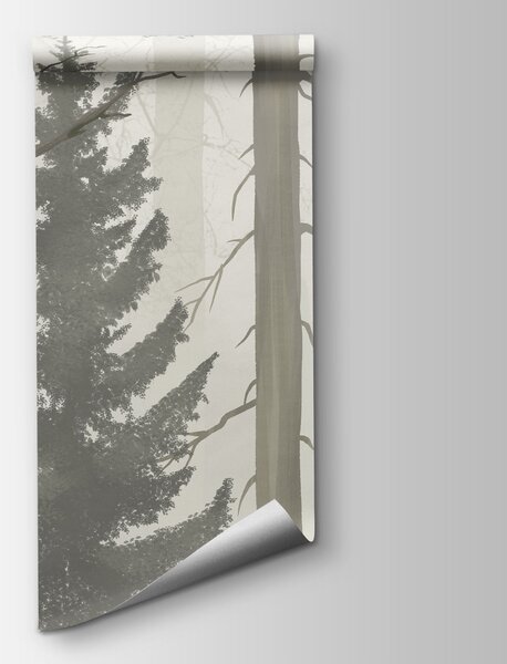 Carta da parati Foresta nebbiosa con alberi, Carta da parati Natura, Carta da parati popolare, t00978 - Tapeko.it