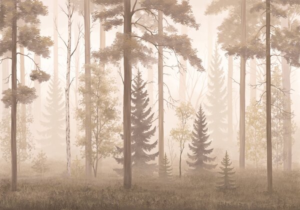 Carta da parati Foresta nebbiosa con alberi, Carta da parati Natura, Carta da parati popolare, t00978v1 - Tapeko.it
