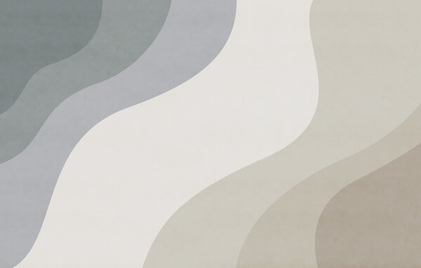 Carta da parati Sfondo bianco e grigio con linee curve, Carta da parati lastrazione, Carta da parati popolare, t00988 - Tapeko.it