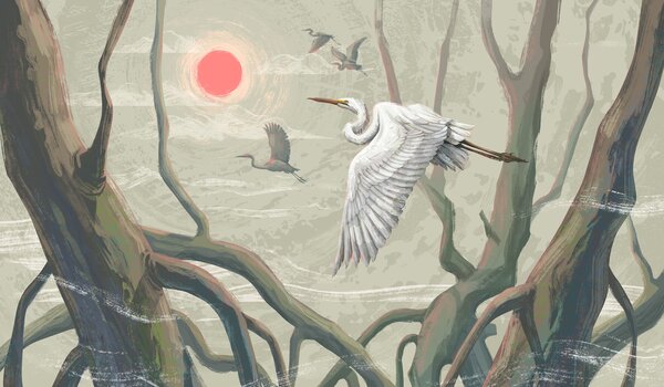 Carta da parati Un uccello bianco che vola nel cielo, Carta da parati Natura, Carta da parati popolare, t00991 - Tapeko.it