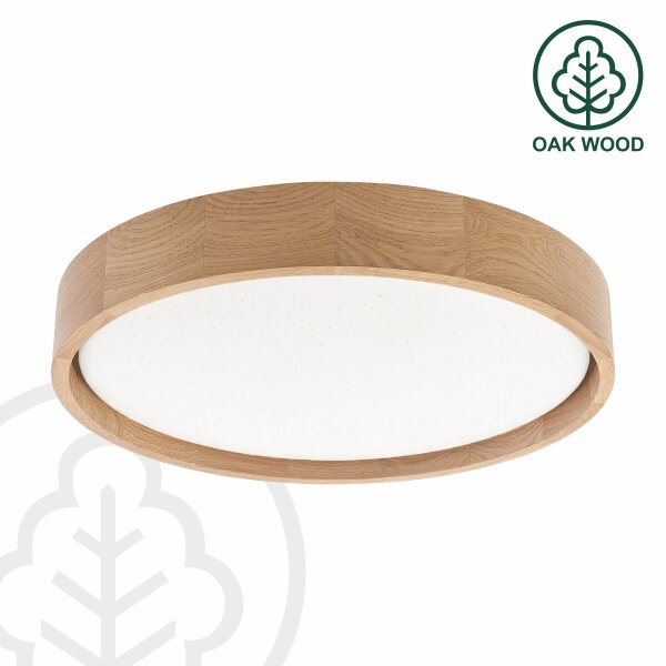 Brilagi - Plafoniera LED dimmerabile MANAROLA SMART LED/24W/230V diam. 41 cm + telecomando