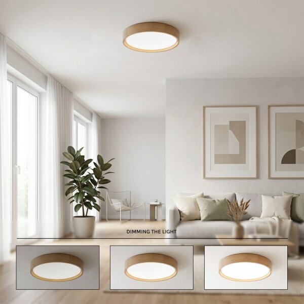 Brilagi - Plafoniera LED dimmerabile MANAROLA SMART LED/24W/230V diam. 41 cm + telecomando