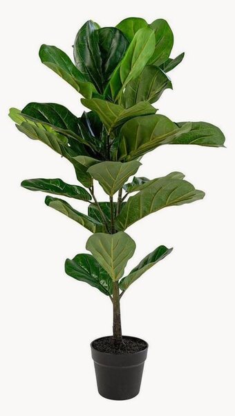 Pianta artificiale Fiddle