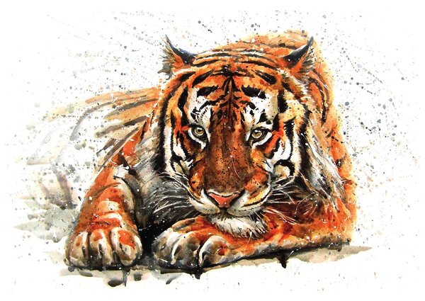 Carta da parati – Predatore di animali