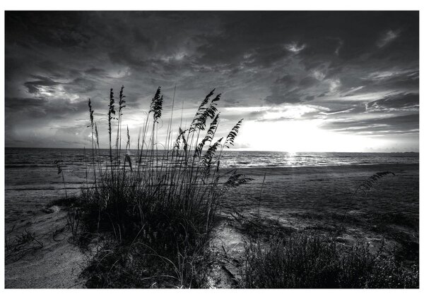 Carta da parati – Tramonto sulla spiaggia in bianco e nero