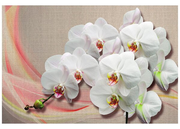 Carta da parati – Orchidea bianca su tela