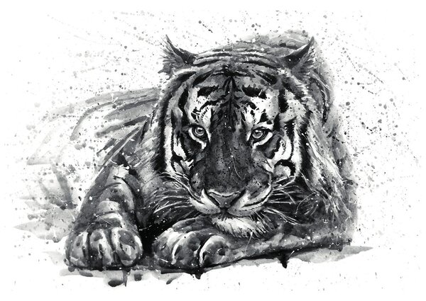Carta da parati – Predatore di animali in bianco e nero