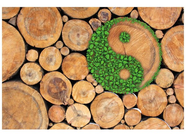 Carta da parati – Yin e Yang in versione eco
