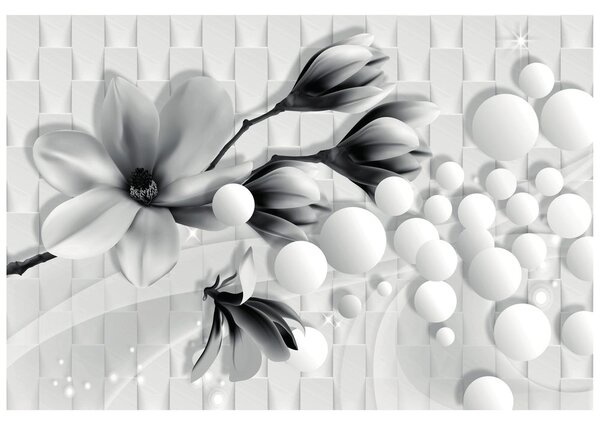 Carta da parati – Magnolia in bianco e nero con elementi astratti
