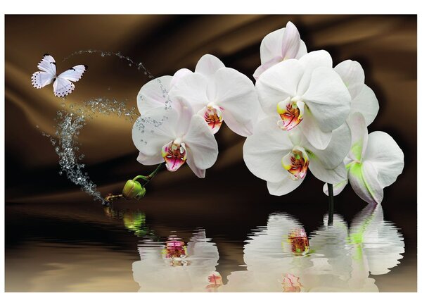 Carta da parati – Orchidea e farfalla
