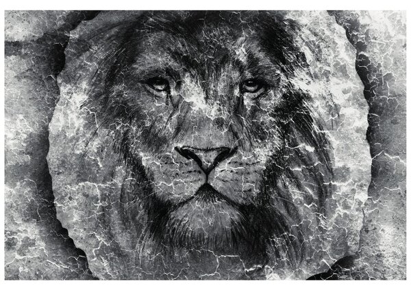 Carta da parati – Volto di leone in bianco e nero