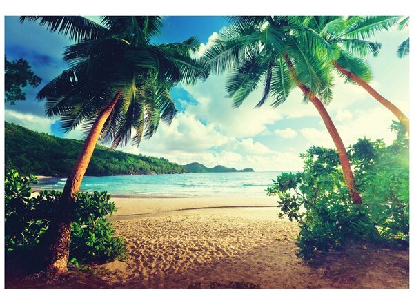 Carta da parati – Tramonto sull'isola di Seychelles