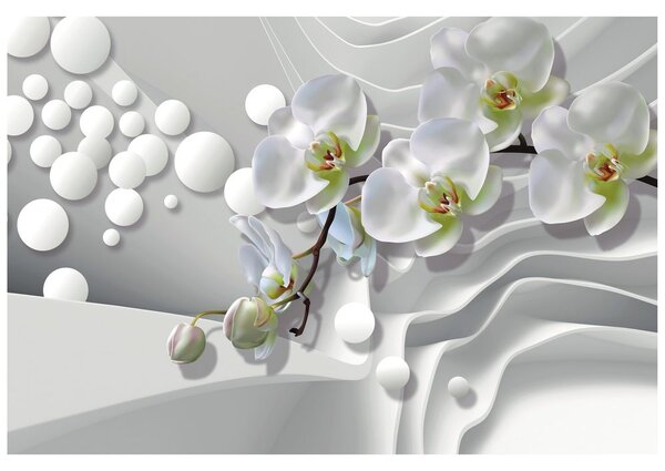 Carta da parati – Orchidea su sfondo astratto