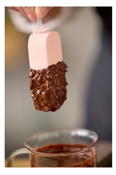 Stampo per ghiaccioli in silicone – Blomsterbergs