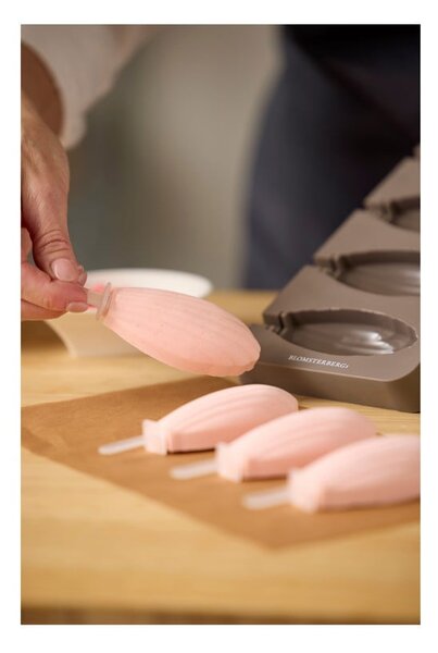 Stampo per ghiaccioli in silicone – Blomsterbergs