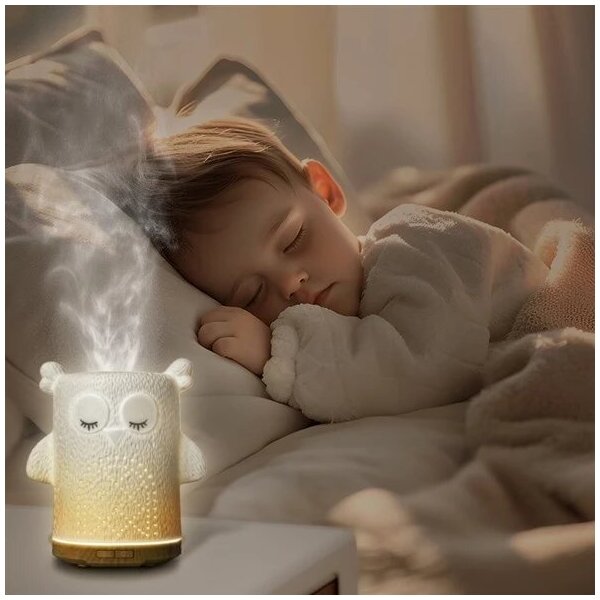 LED RGBW Diffusore di aromi LED/8W/230V 100 ml gufo