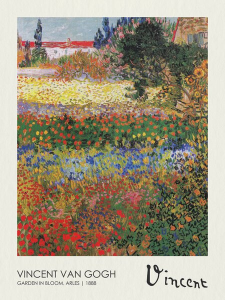 Riproduzione Garden in Bloom Arles 1888, Vincent van Gogh