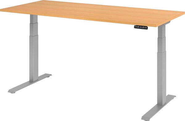 XDKB 19 S | 180x80 | regolabile elettricamente in altezza - faggio