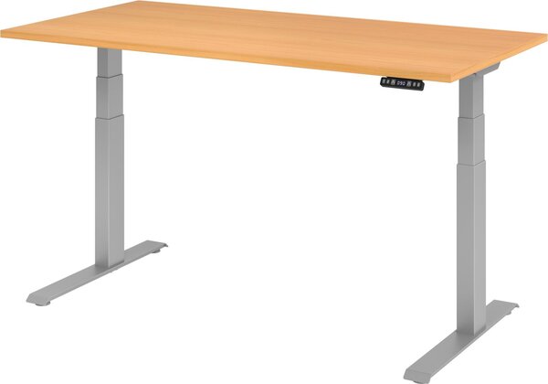 XDKB 16 S | 160x80 | regolabile elettricamente in altezza - faggio