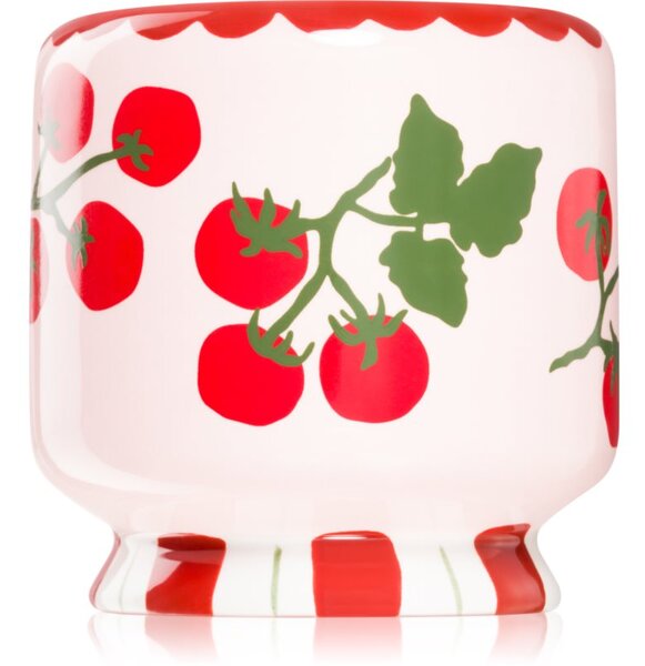 Paddywax A Dopo Tomato Vine candela profumata 226 g