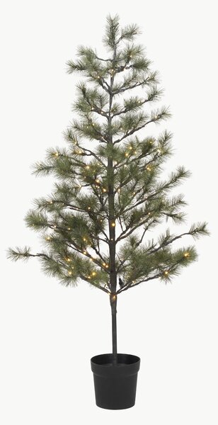Albero di Natale con luci a LED Pauce