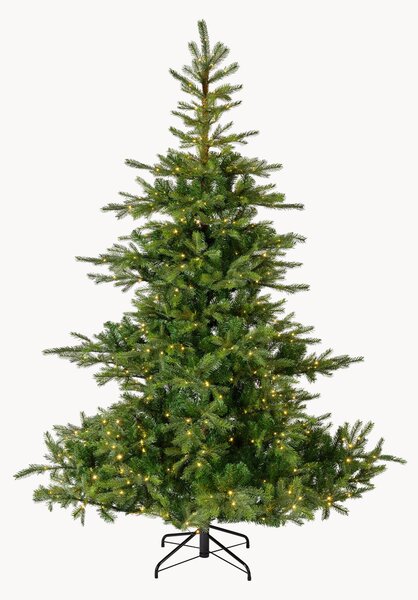 Albero di Natale a LED fatto a mano Grandis, varie misure