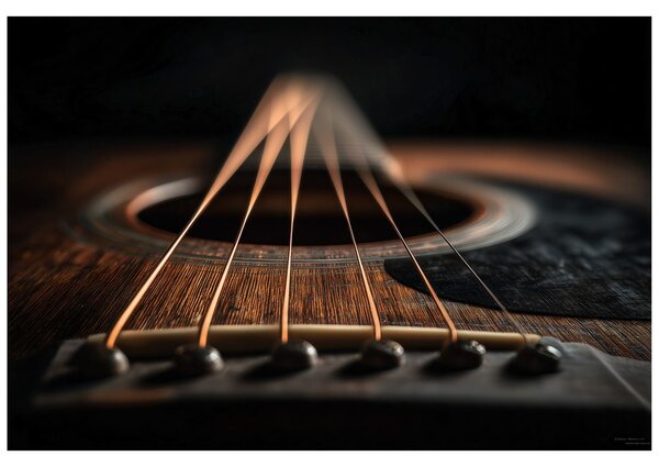 Carta da parati – Dettaglio di chitarra acustica in tonalità scura