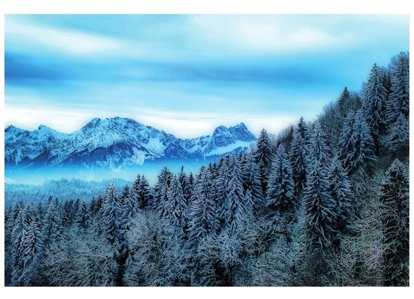 Carta da parati – Montagne congelate
