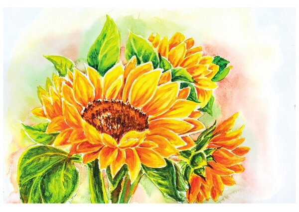 Carta da parati – Girasole splendido