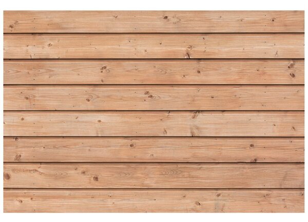 Carta da parati – Motivo di Legno