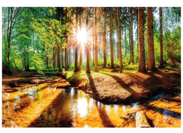 Carta da parati – Foresta da Favola