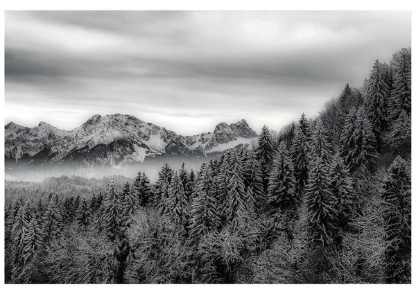 Carta da parati – Montagne ghiacciate in bianco e nero