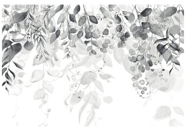 Carta da parati – Tocco di Natura in Bianco e Nero