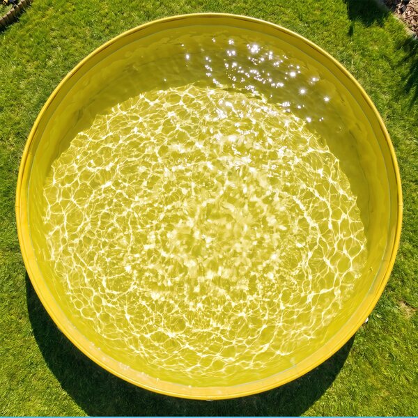 PawHut Piscina Pieghevole per Cani per Taglie Grandi e Extra Grandi, con Fondo Antiscivolo per Anatre, Interno ed Esterno, 160x30 cm, Blu e Giallo | Aosom Italy